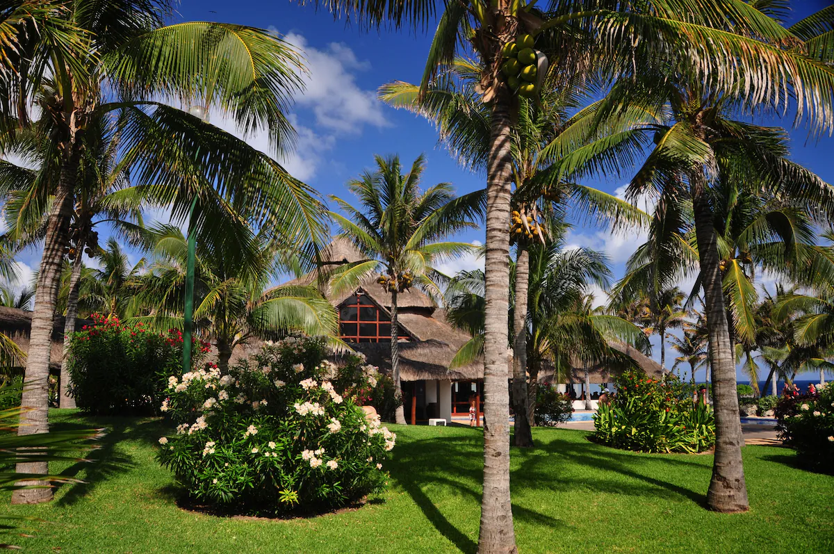 Grand Oasis Cancun / 5 días / 2 adultos / del 24-28 de Jul / menores gratis /BLO-HO